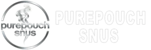 purepouchsnus logo 600x200