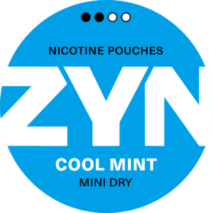 ZYN COOL MINT MINI DRY